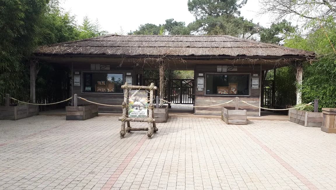 Le Zoo de La Flèche : une journée en famille inoubliable